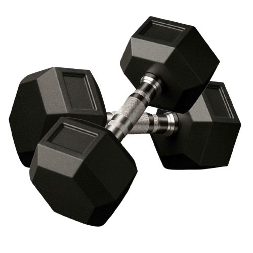 Hex Dumbbell Manufacturer in Delhi NCR