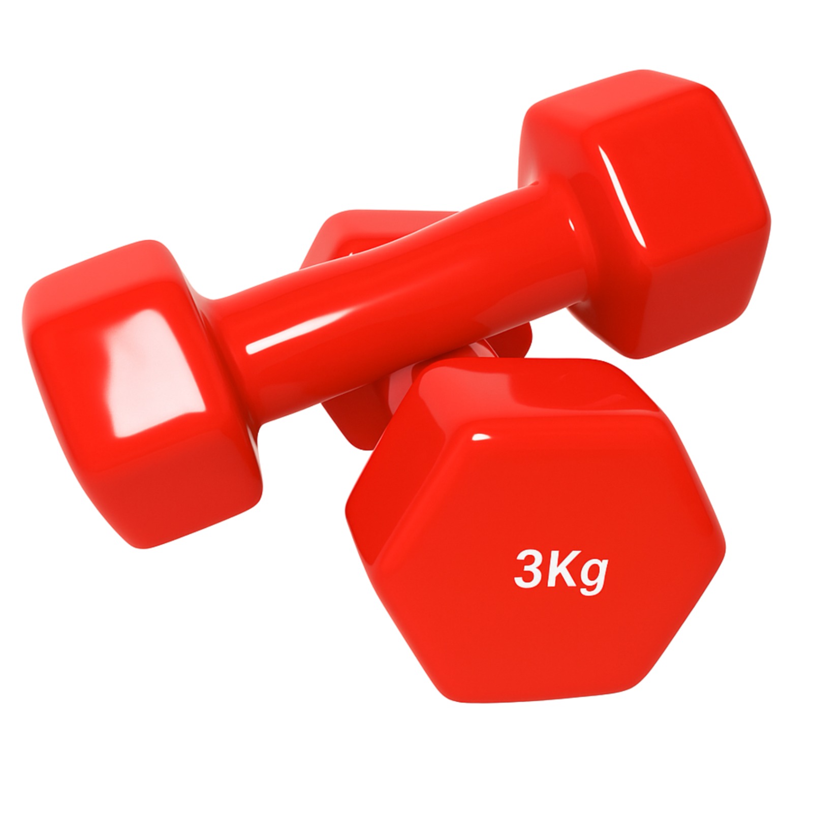 Dumbbell Exporter in  India